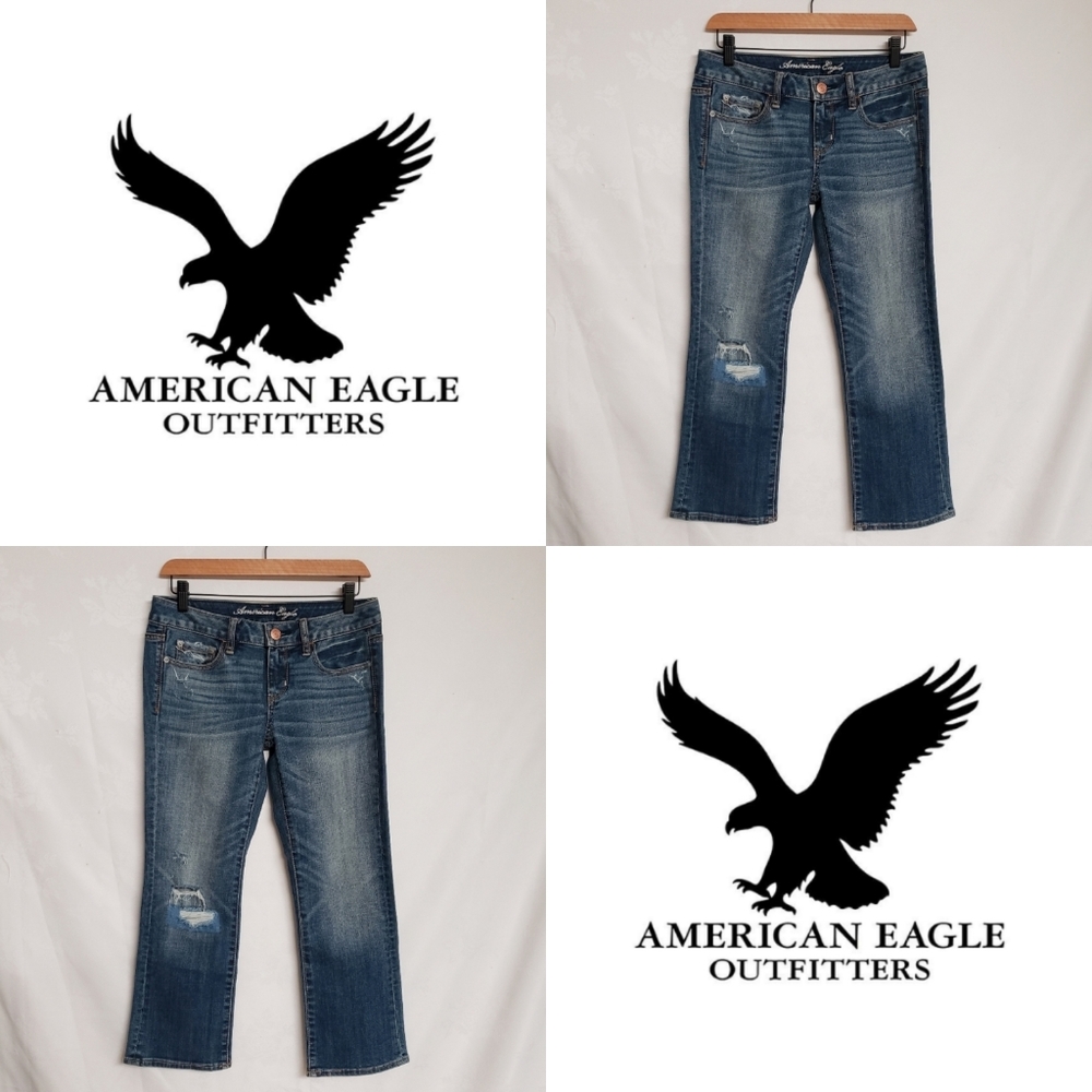 American Eagle Vintage Flare Jeans